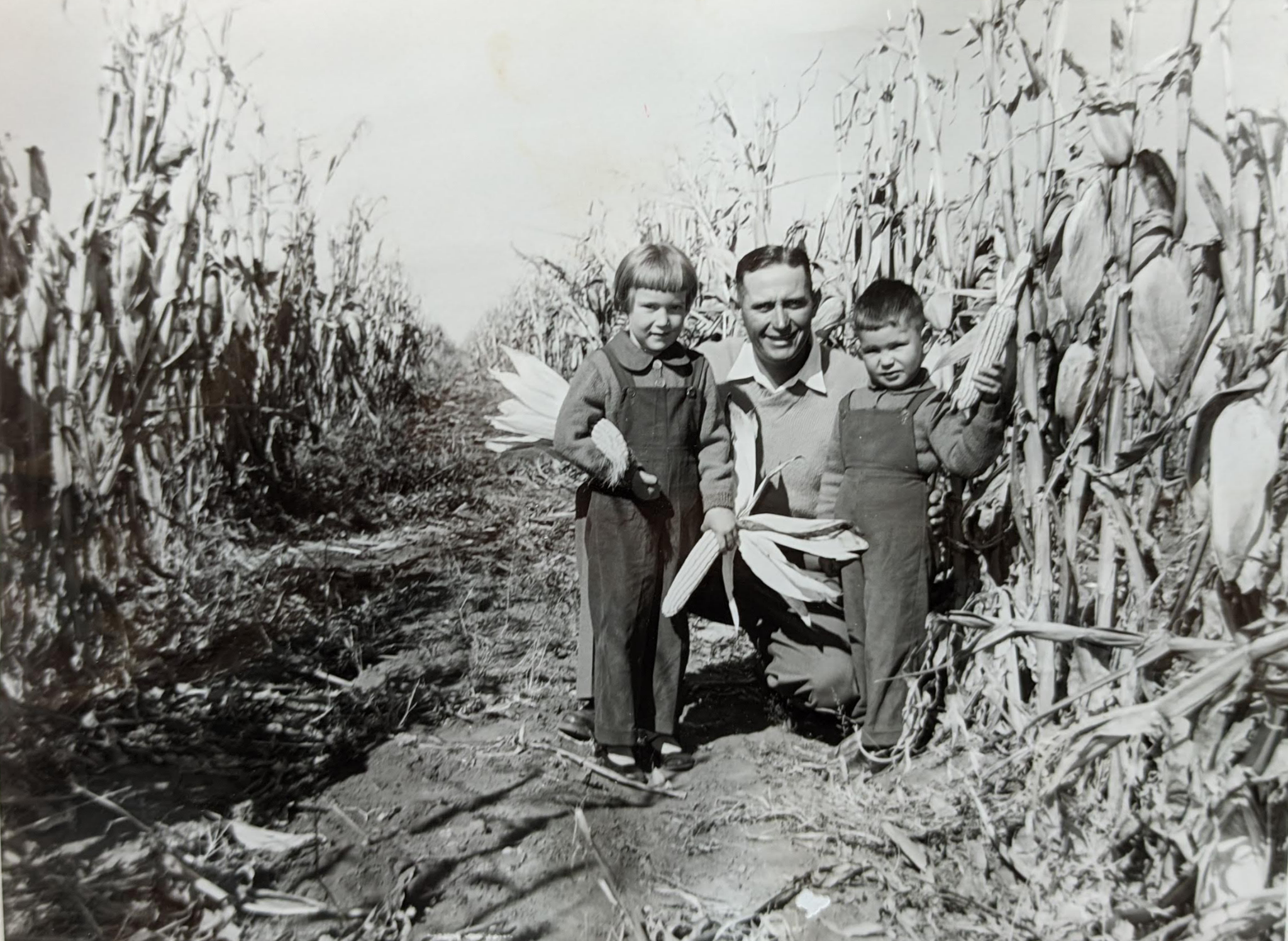 Historic Viviers family farming photograph in maize fields near Ventersdorp
